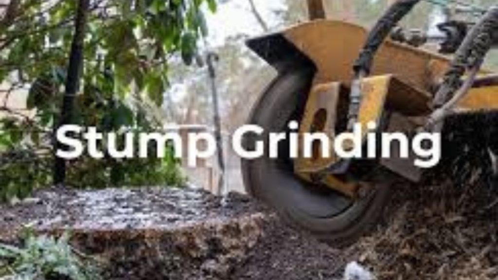 Stump Grinder: Enhancing Your Landscape Effortlessly